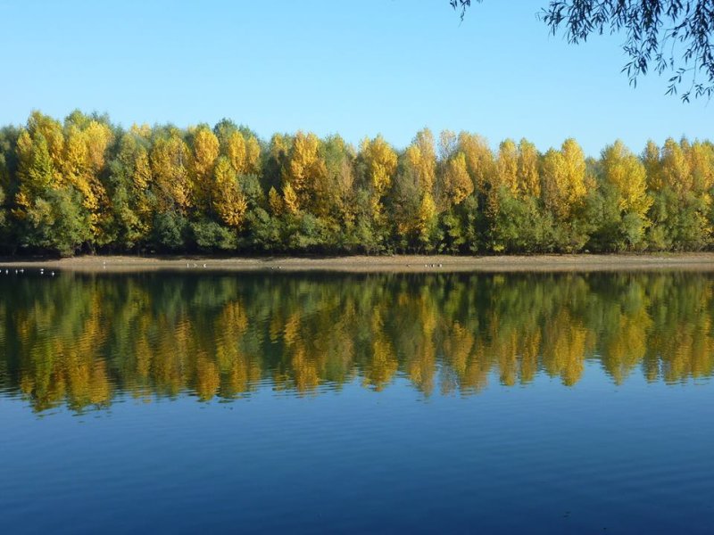 Die Spey (Ost 2)