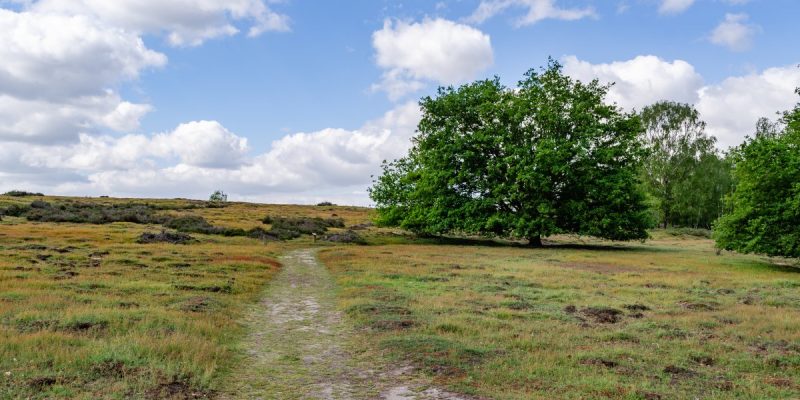 Egelsberg