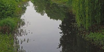 Greiffenhorstpark