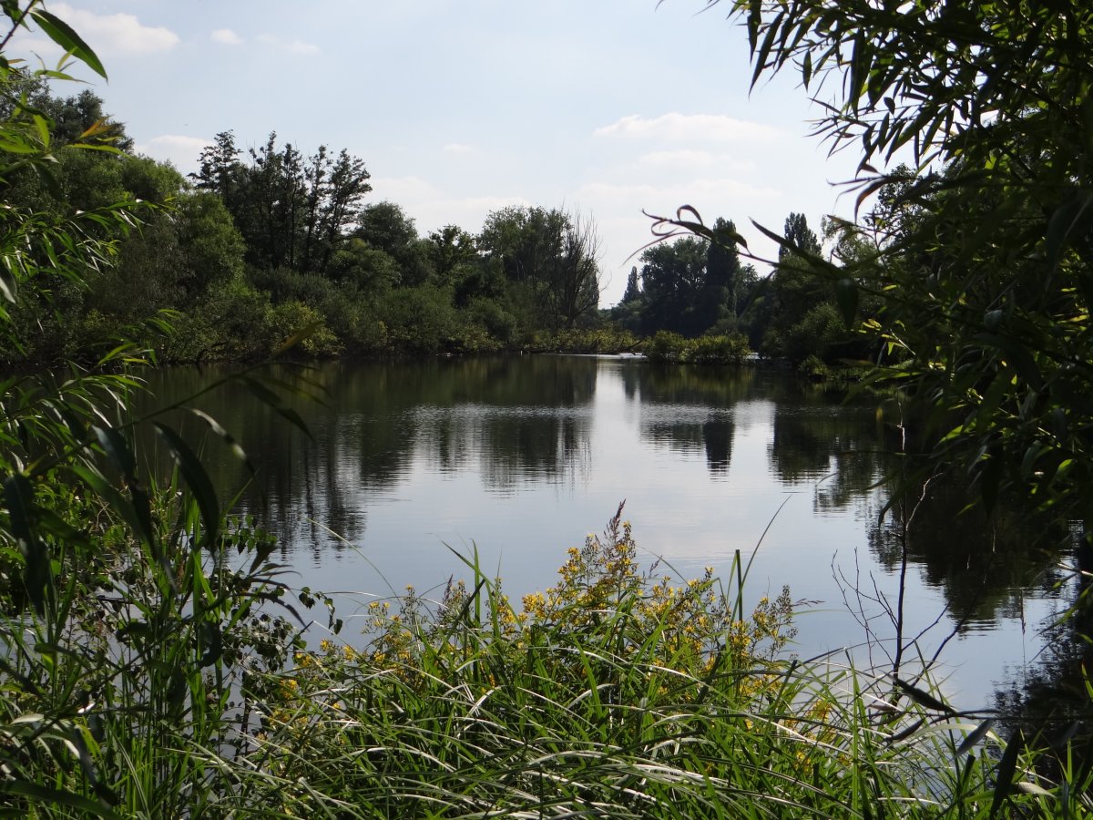 Riethbenden