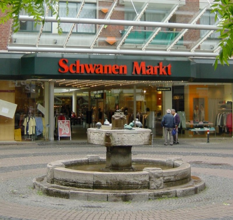 Schwanenmarkt