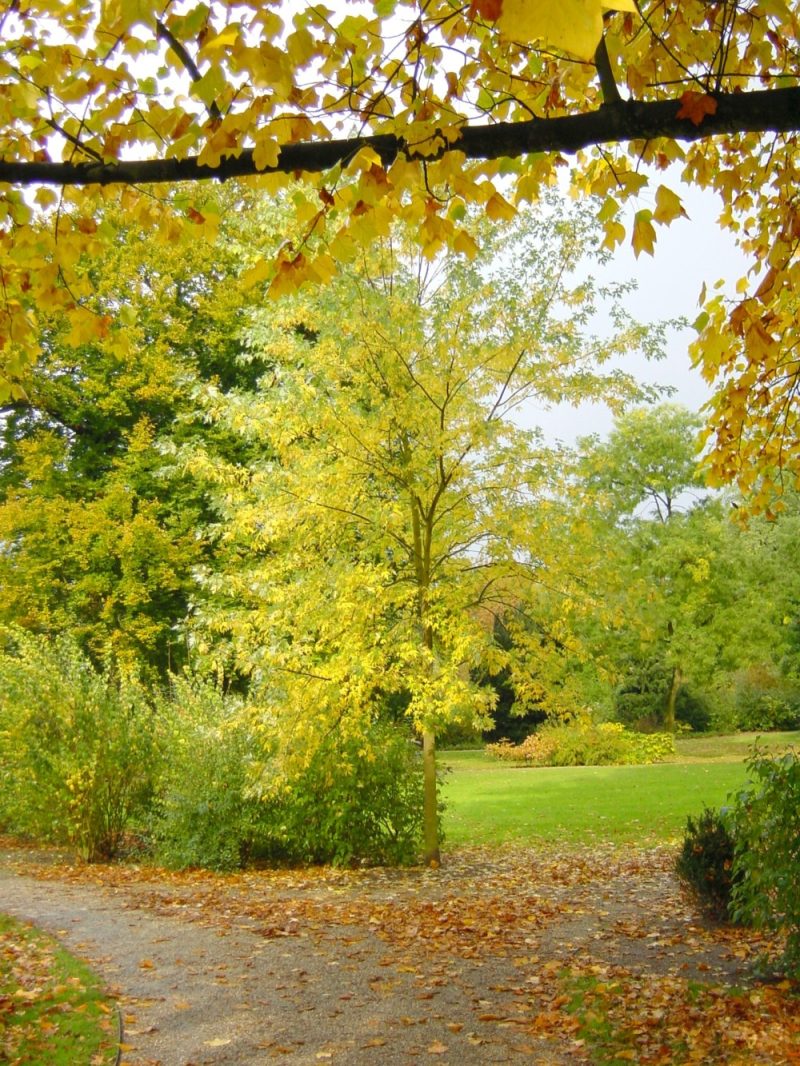 Sollbrüggen Park