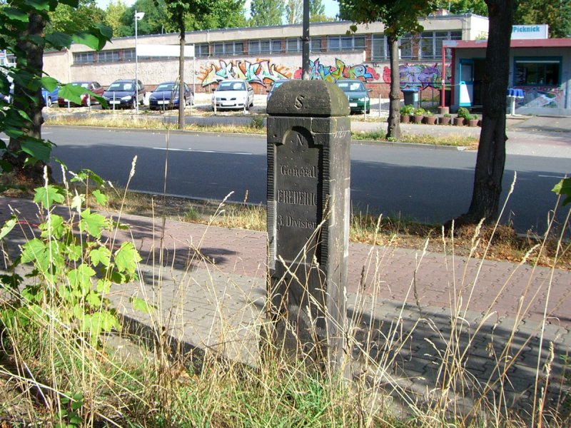 Apelstein 19
