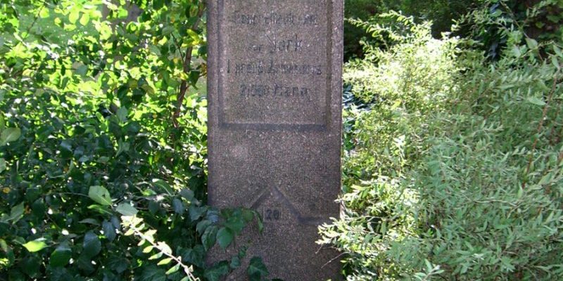 Apelstein 20