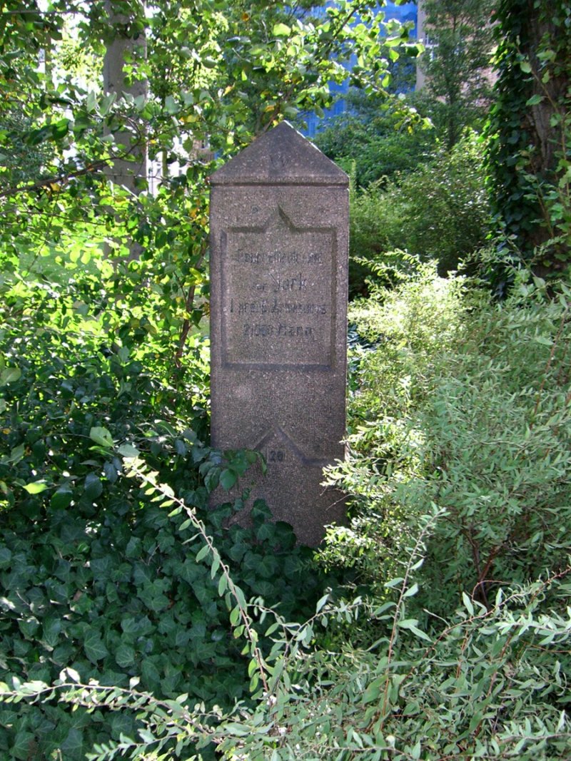 Apelstein 20