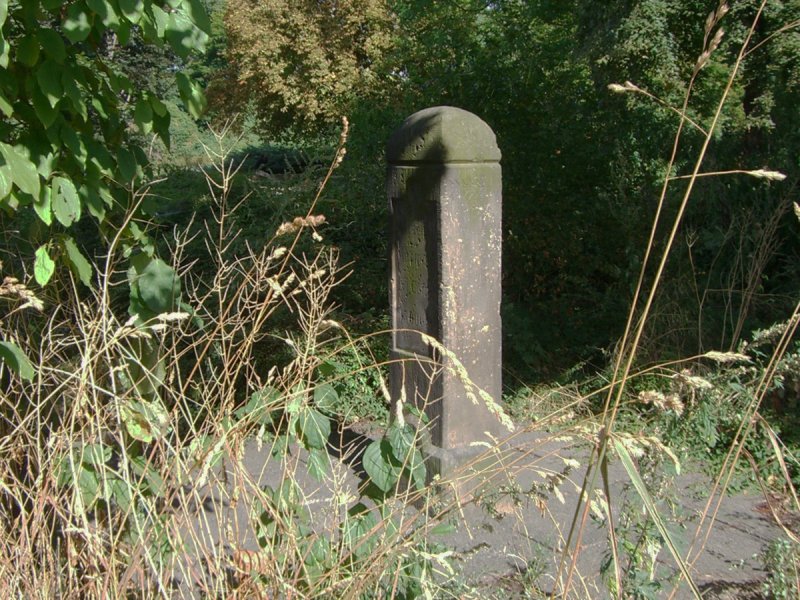 Apelstein 29