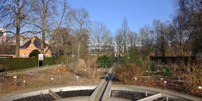 Apothekergarten