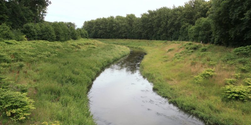 Burgaue