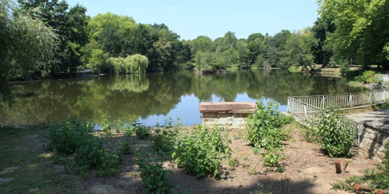 Clara-Zetkin-Park