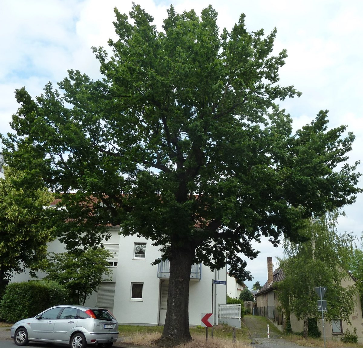 Friedhof Wahren