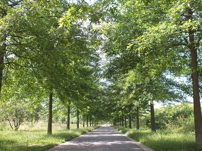 Grüner Bogen Paunsdorf