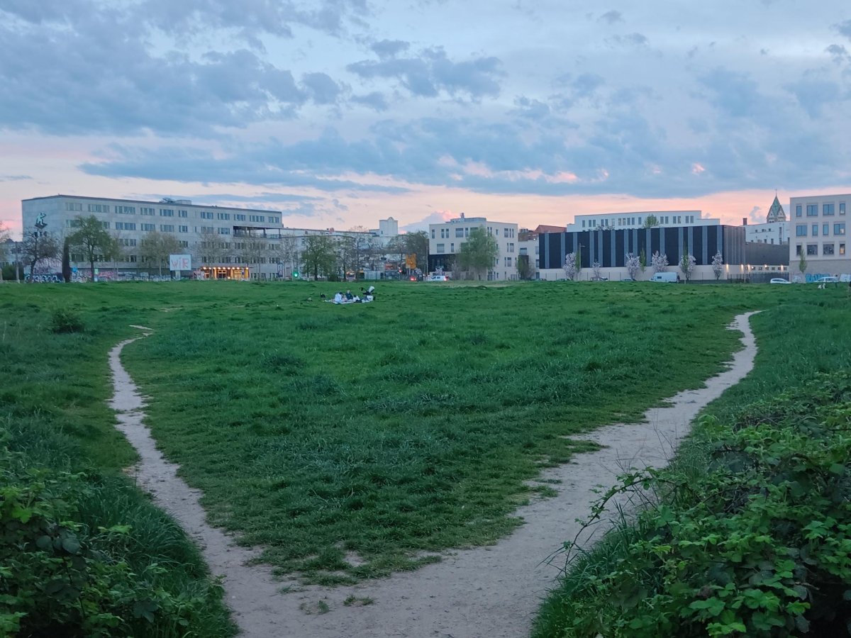 Jahrtausendfeld