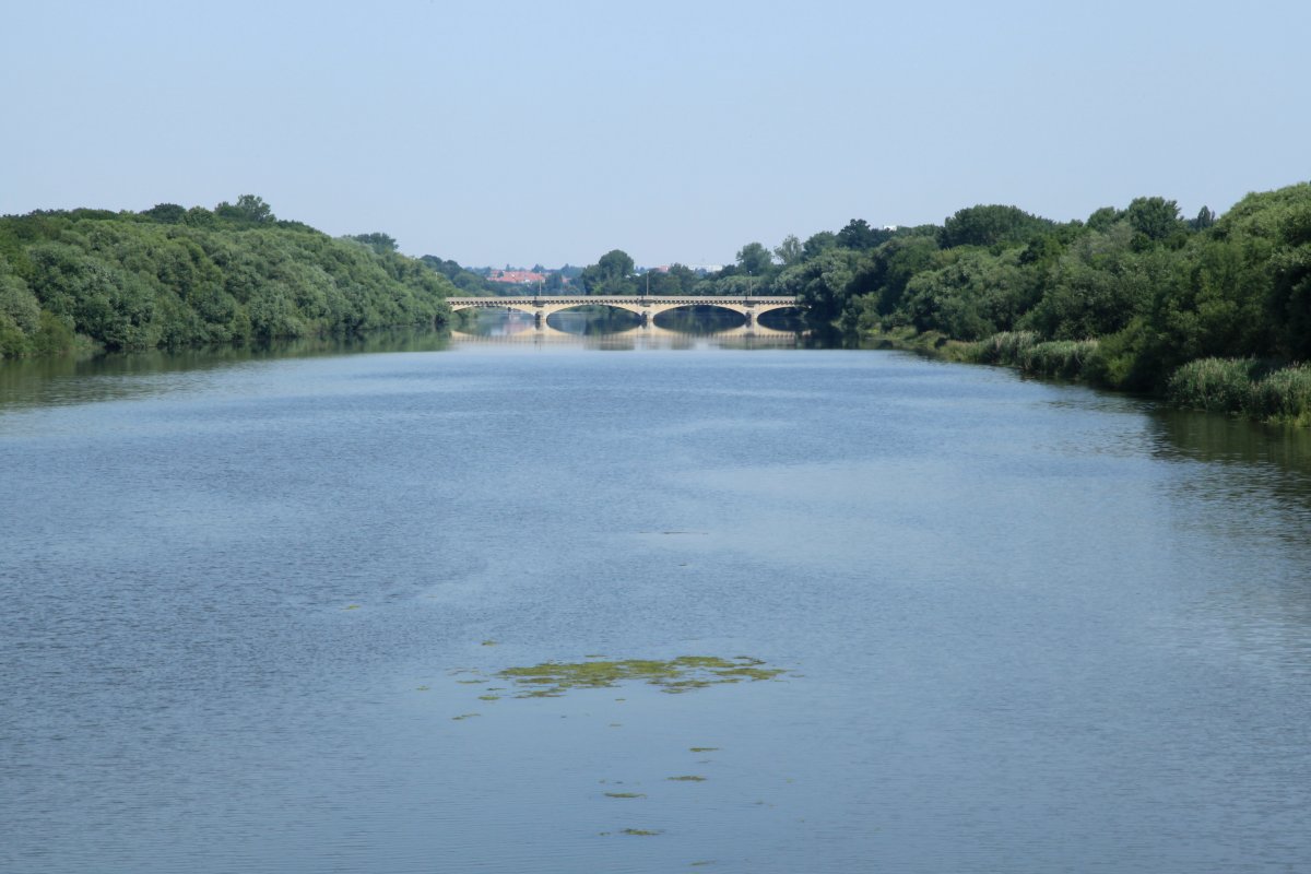 Landauerbrücke
