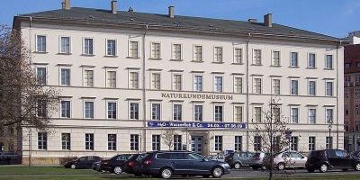 Naturkundemuseum