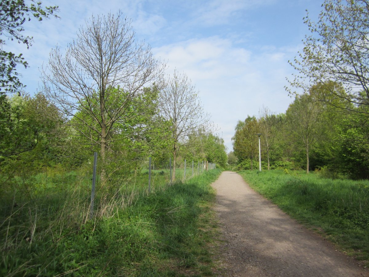Östliche Rietzschke - Stünz