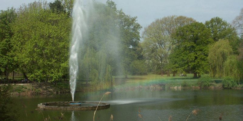 Palmengarten