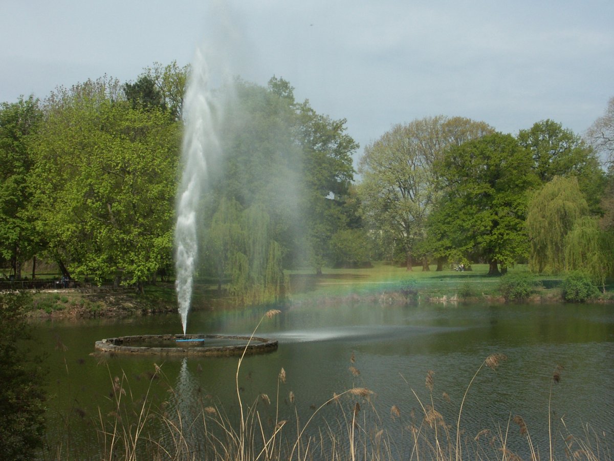 Palmengarten