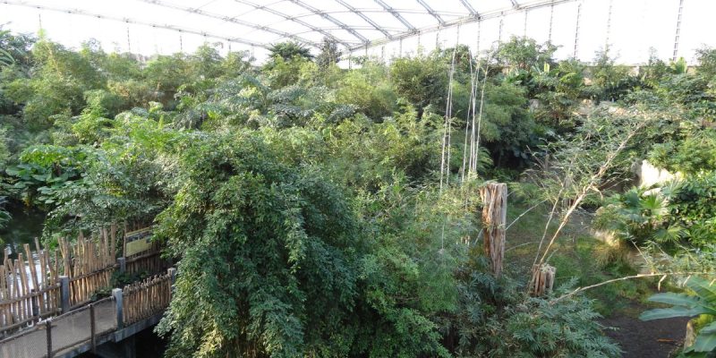 Zoo Leipzig