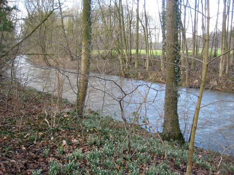 Dhünnaue (Nordwest)