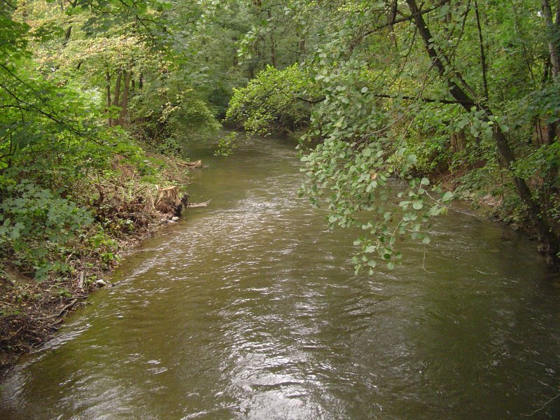 Dhünnmündung