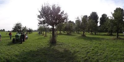 Flittarder Rheinaue