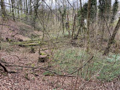 Wiembachtal und Ölbachtal