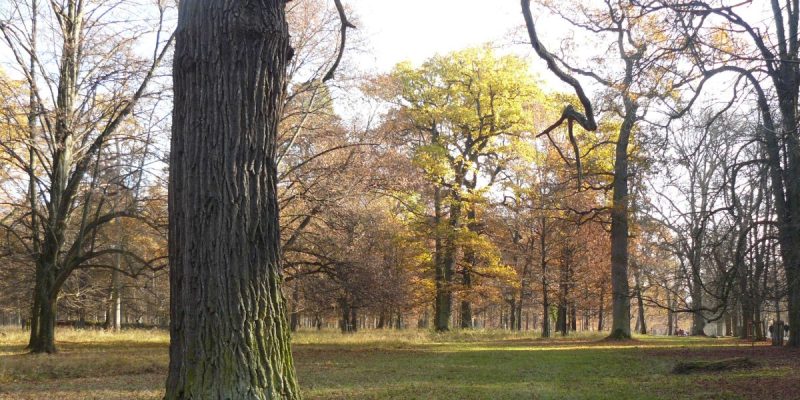 Favoritepark