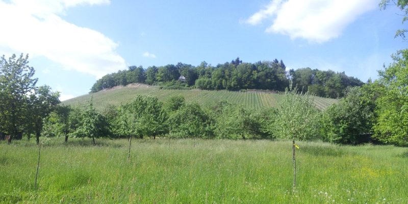 Lemberg
