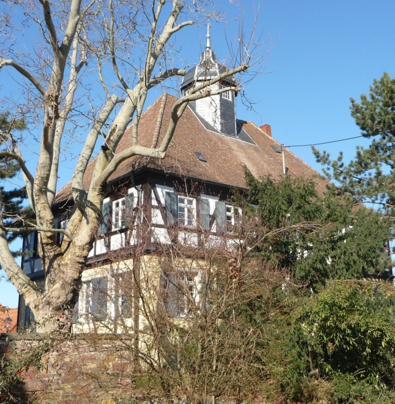 Ortsvorsteher Ruchheim