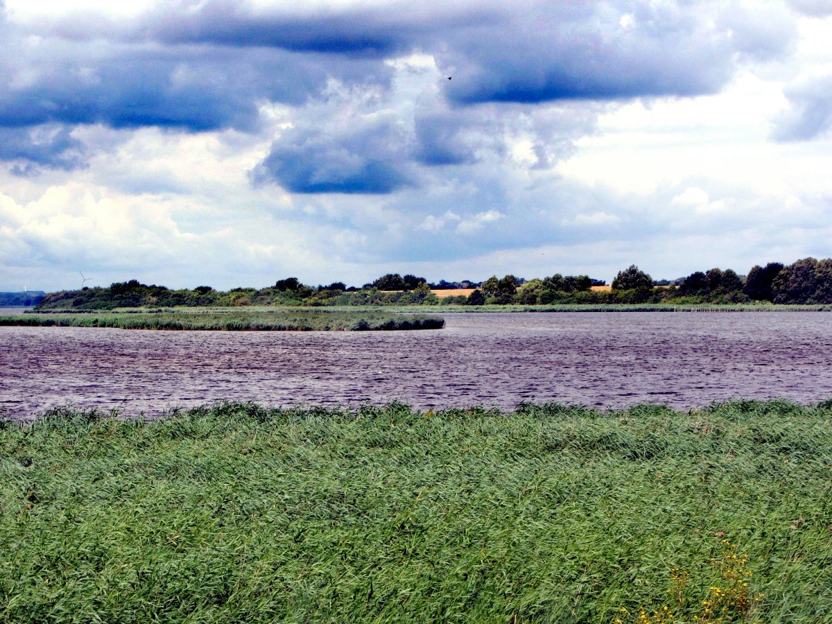 Dassower See, Inseln Buchhorst und Graswerder (Plönswerder)
