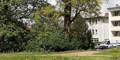Eschenburgpark