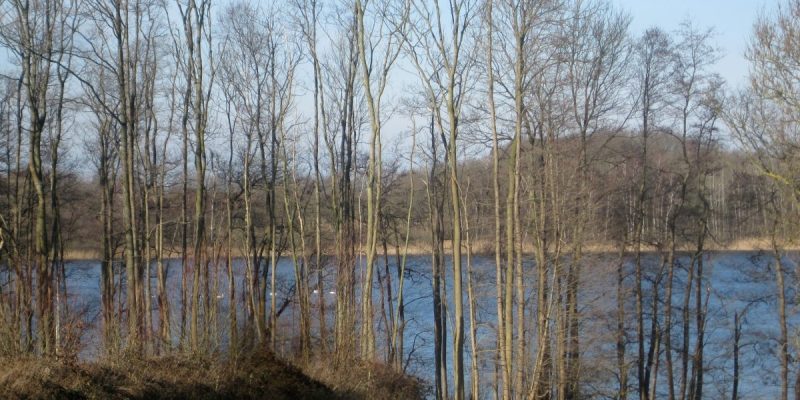 Grönauer Heide, Grönauer Moor und Blankensee