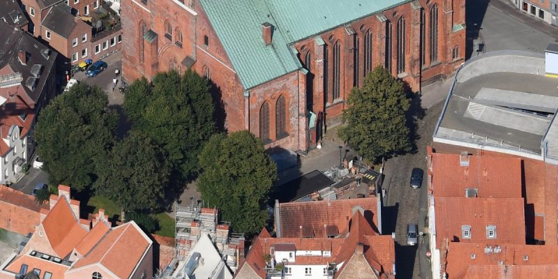 St.-Petri Kultur- und Universitätskirche