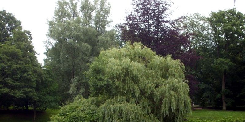 Stadtpark