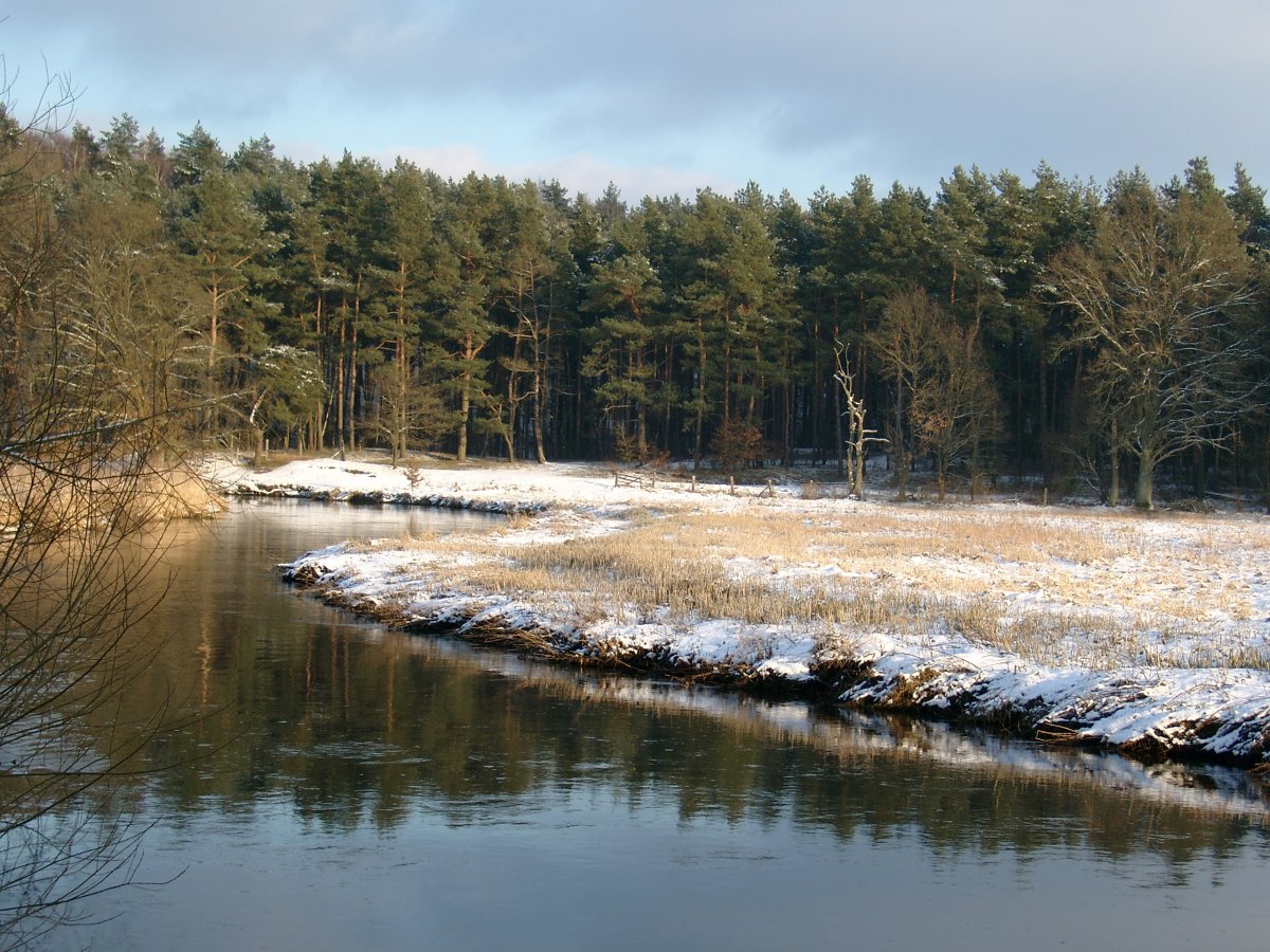 Lüneburger Ilmenauniederung mit Tiergarten