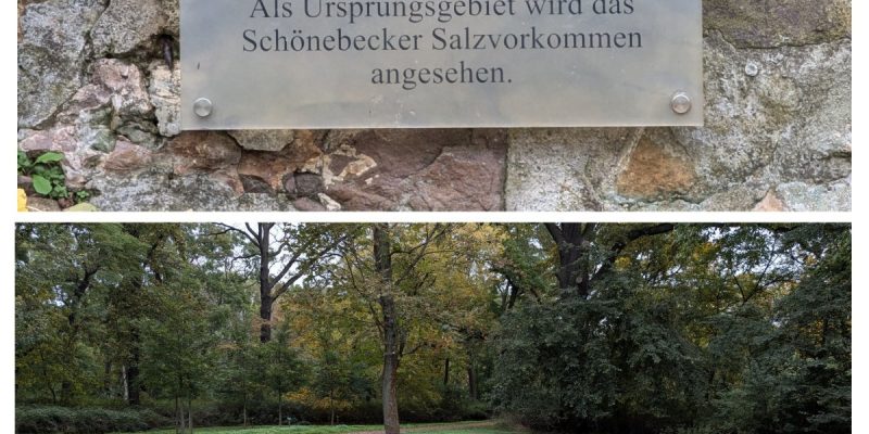 Salzquelle