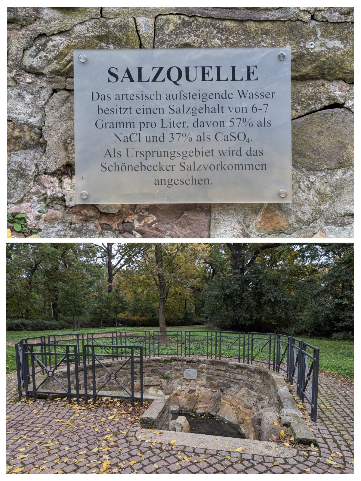 Salzquelle