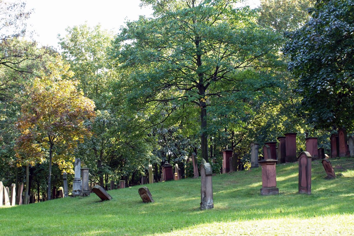 Alter Jüdischer Friedhof (Nord)