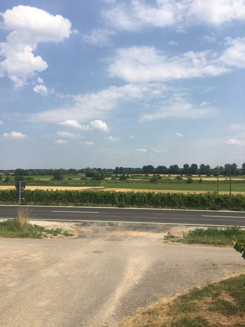 Erweiterung Laubenheimer - Bodenheimer Ried