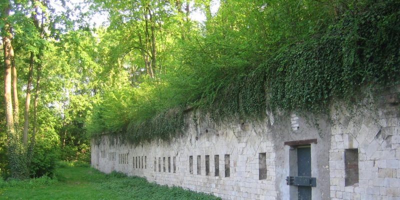 Fort Weisenau