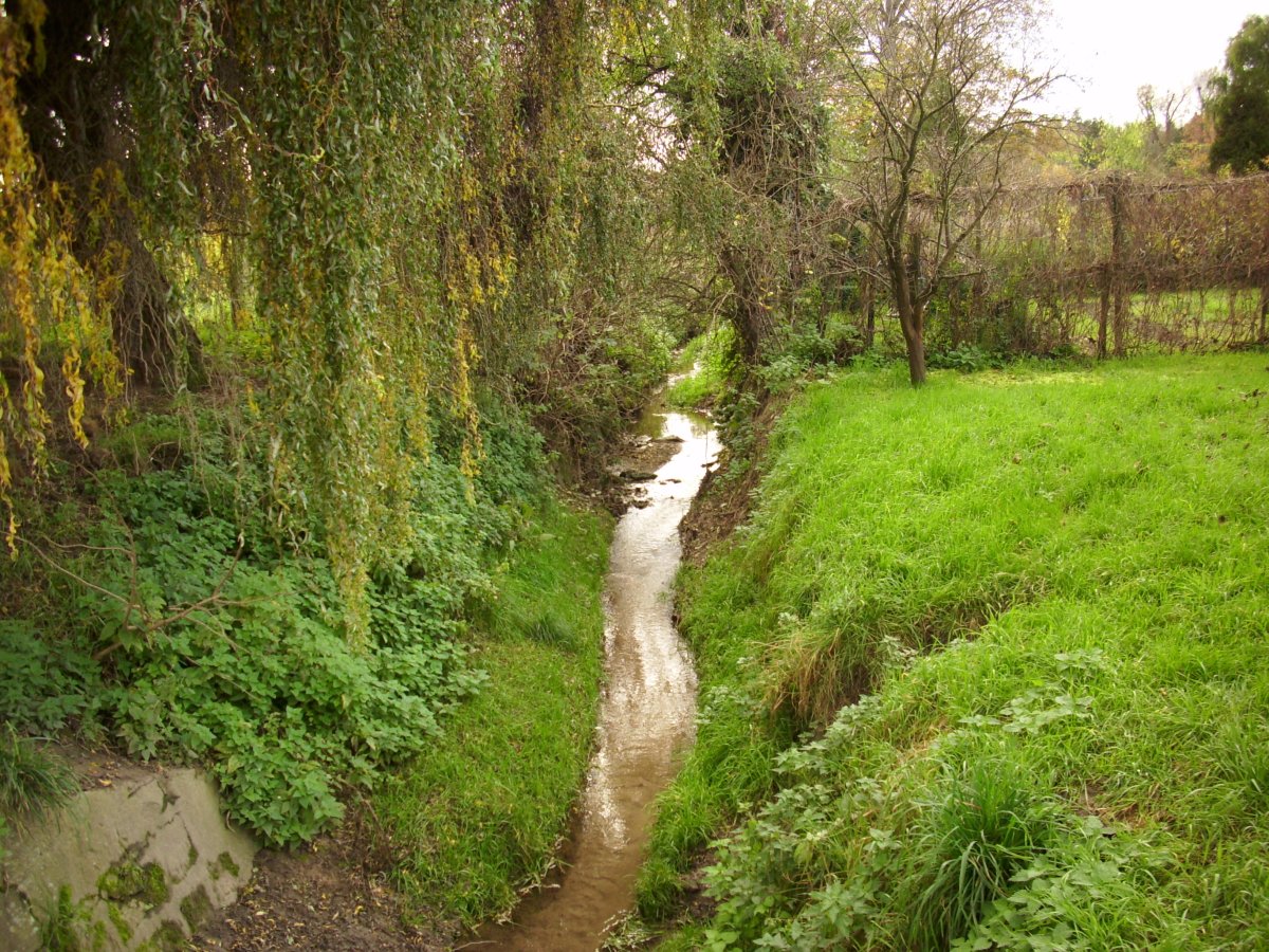 Gonsbach