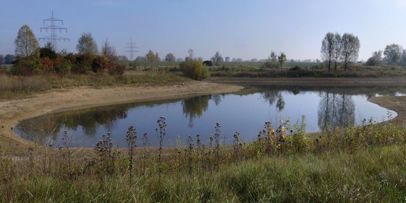 Laubenheimer-Bodenheimer Ried