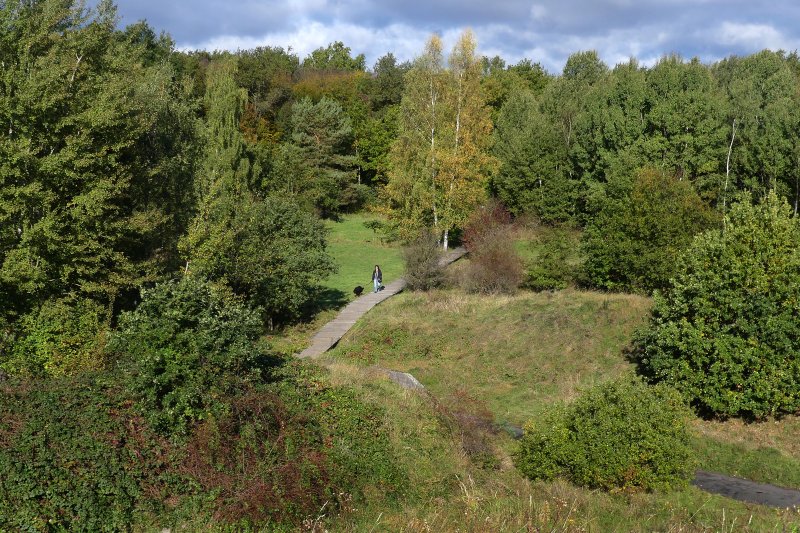 Ober-Olmer Wald