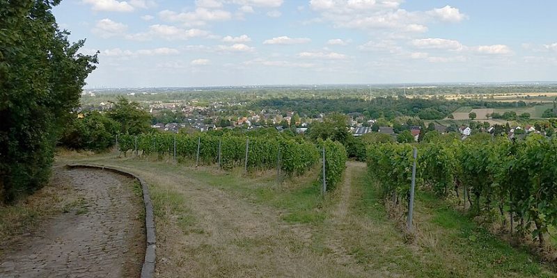 Ortsverwaltung Mainz-Laubenheim