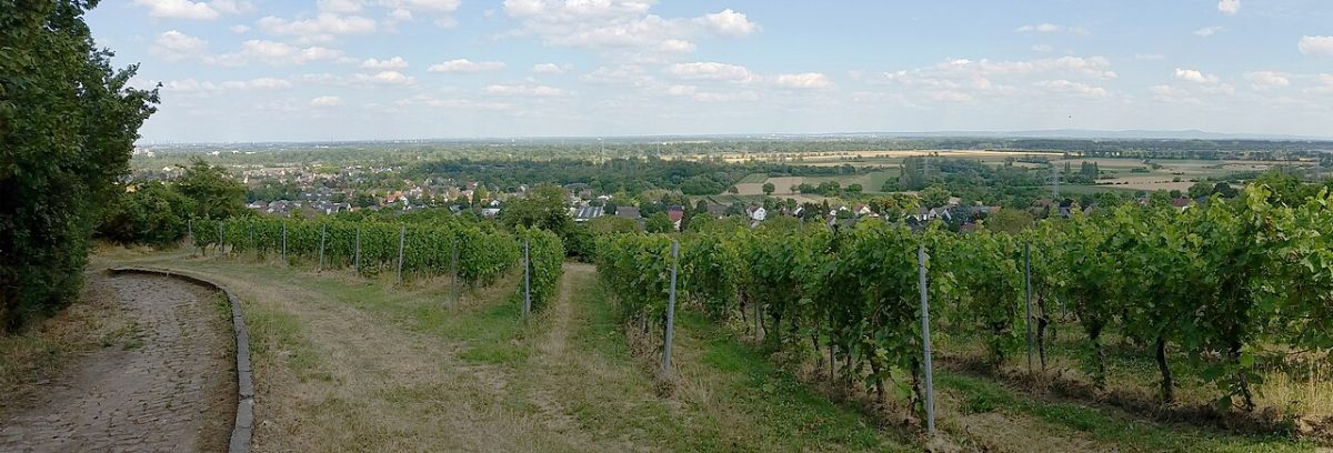 Ortsverwaltung Mainz-Laubenheim
