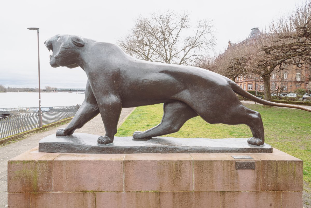Schreitender Tiger