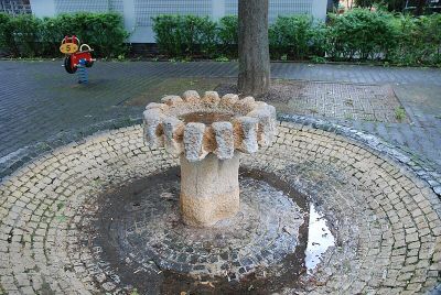 Steinpflanze