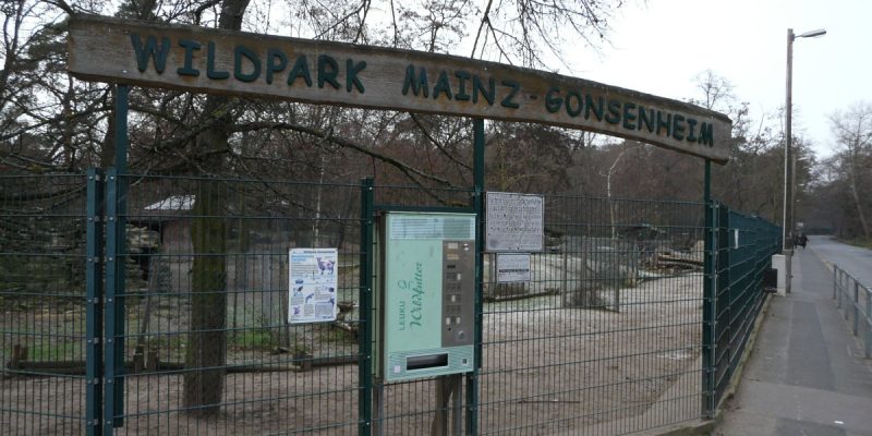 Wildpark Mainz-Gonsenheim