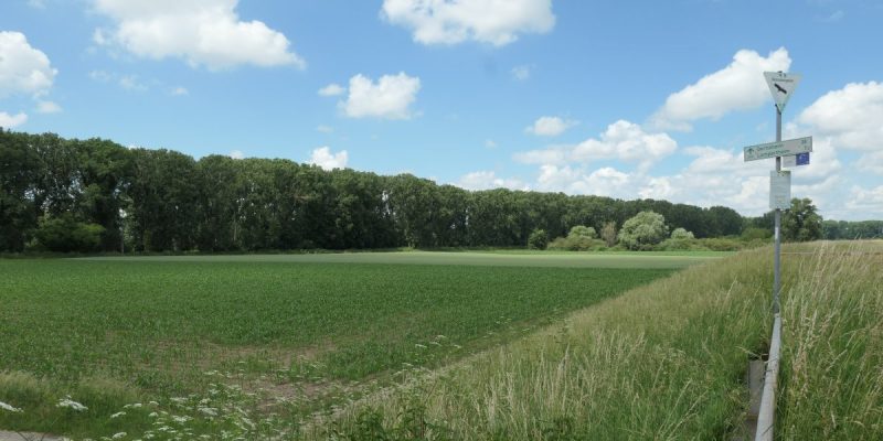 Ballauf-Wilhelmswörth
