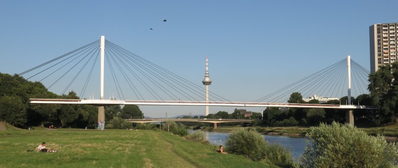 Collini-Steg